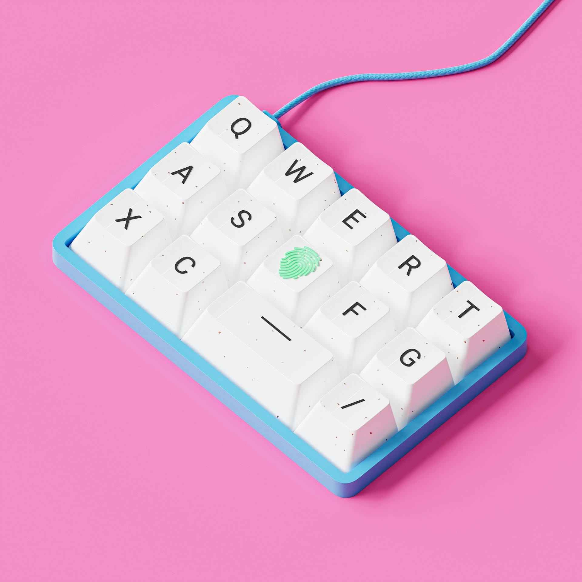 JavaScript